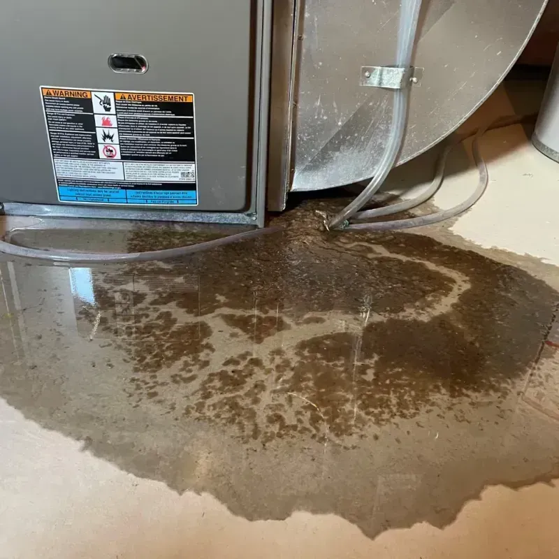 Appliance Leak Cleanup in Tulare, CA